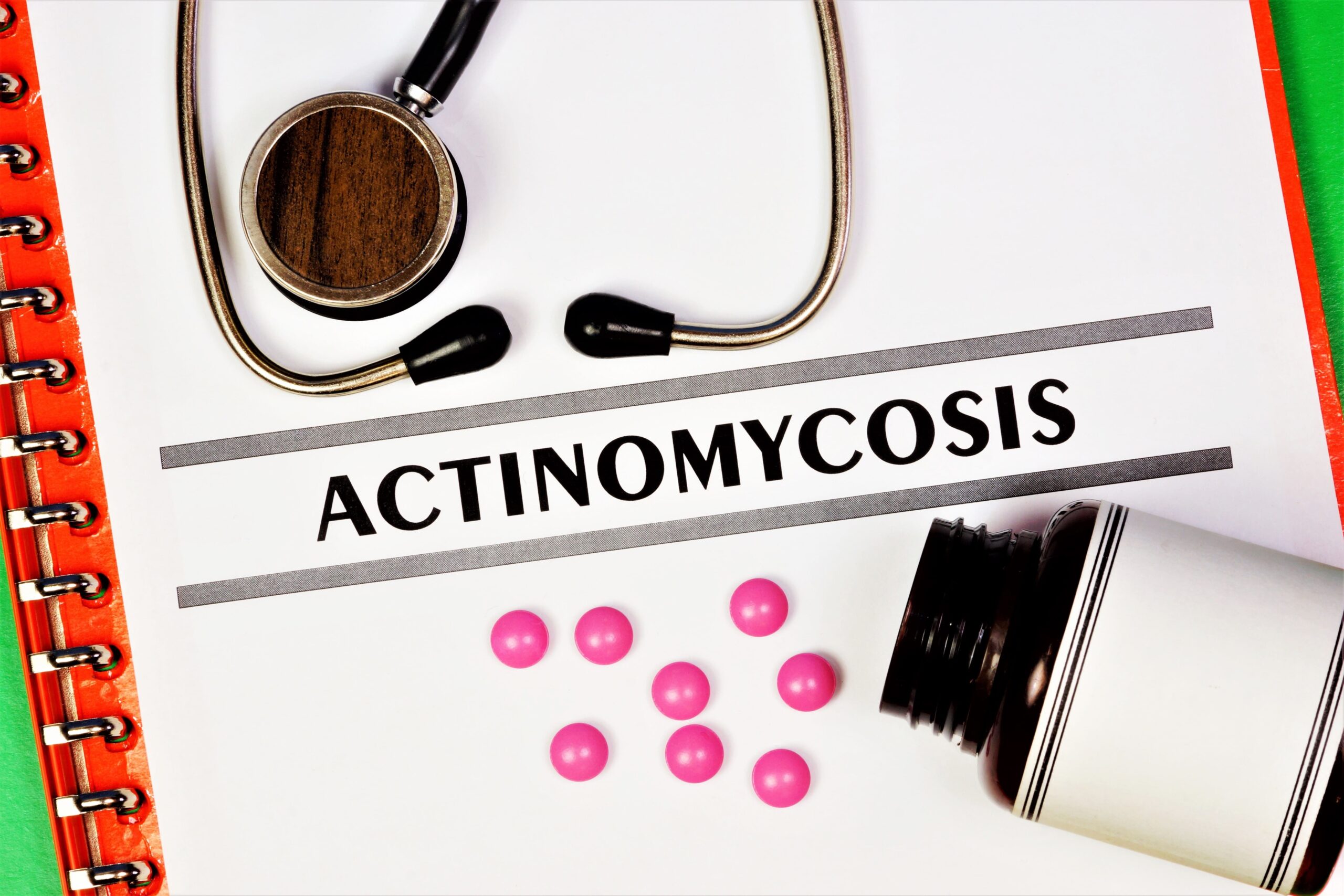 AdobeStock_368678619-min