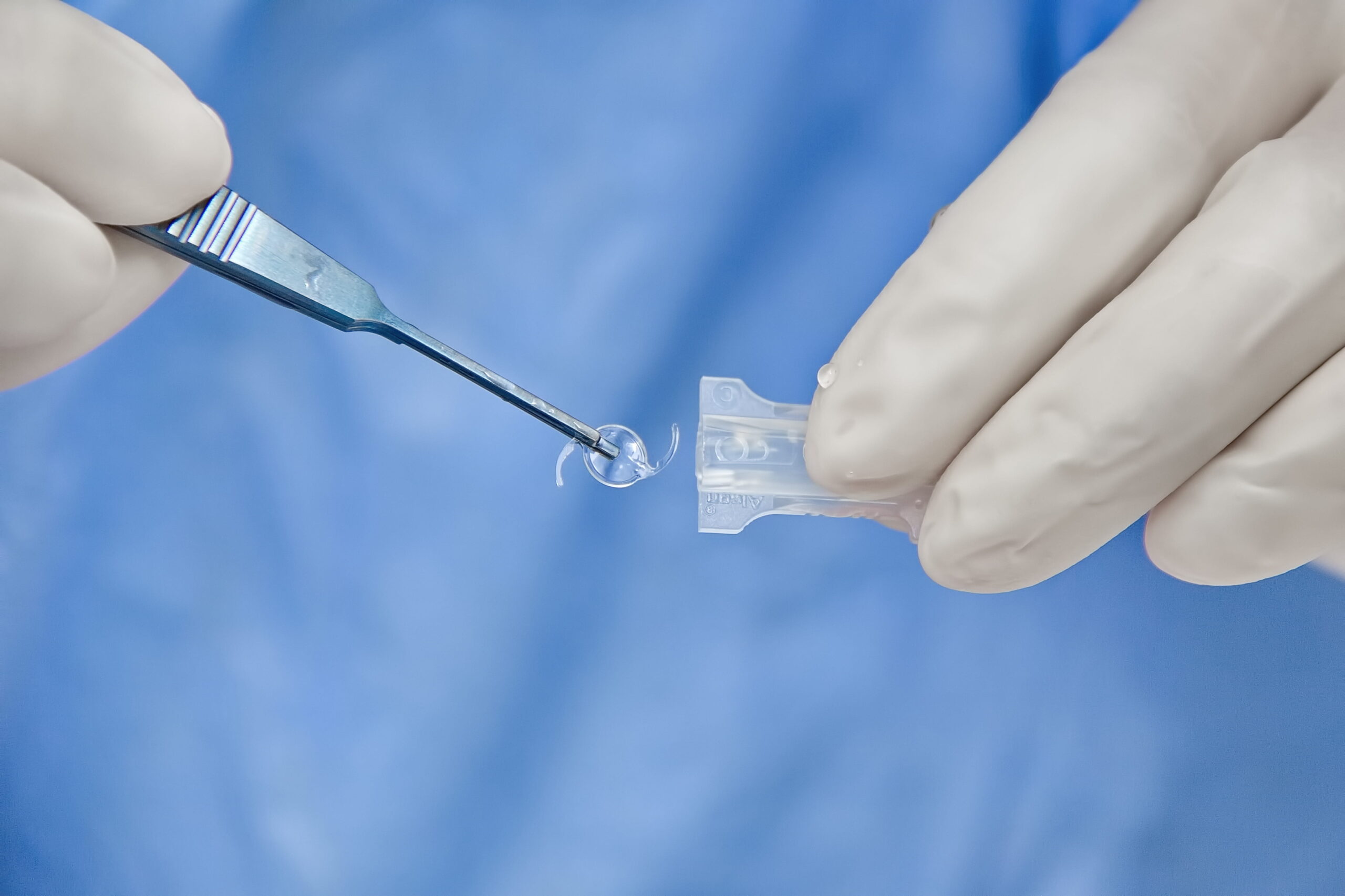 AdobeStock_462700528 (2)